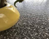 سنگ بوش همرچرمی