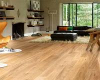 دکوراسیون داخلی