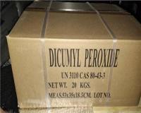 فروش پروکساید شکری (99%)DCP