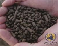 تولید کود مرغی فرآوری شده