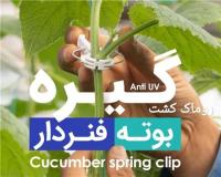 گیره بوته فنردار