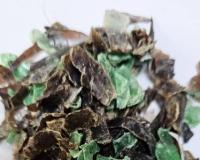 خریدار پت کلدواش و هات واش سفید و رنگی تسویه نقدی