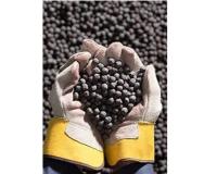 فروش گندله نقدی و اعتباری 3 ماهه و 6 ماهه