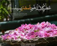 پخش گلاب سوپر کیفیت محصول قمصر کاشان