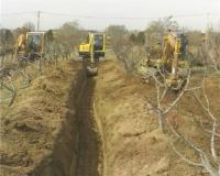 اجاره مینی بیل هیوندا ، با پیکور و باکت 40