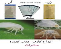 فروش کارت زرد جذب حشرات
