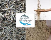 تولید و خرید و فروش پودر میگو، پودر ماهی