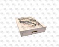 کارتن گوشت ، کارتن مرغ ، کارتن ماهی ( کارنوپک )