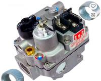 شیر سرخ کن دین و امپریال