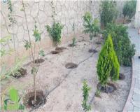 طراحی و اجرای سیستم های آبیاری قطره ای و بارانی