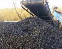 ذغال سنگ حرارتی و کک شو