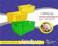 تولید انواع سبد میوه ، سبد مرغ ، سبد کشتارگاهی