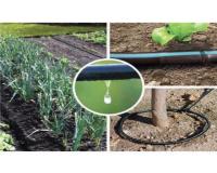 مشاوره ، طراحی ، اجرای  آبیاری  زیرسطحی هوشمند