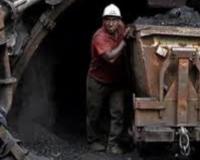 خرید و فروش کک و  زغالسنگ حرارتی و کک شو  و انواع کک