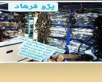 فروش دسته سیم و سیم کشی 206دنا رانا سمند پارس 405