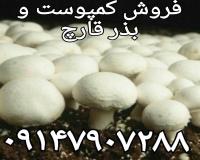 فروش کمپوست قارچ خاک پوششی وبذر قارچ