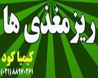 مواد غذایی ضروری گیاه ( ریز مغذیها )