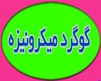گوگرد میکرونیزه با مش بالا
