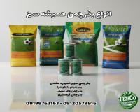 فروش بذر چمن | بذر چمن همیشه سبز | بذر شبدر دایکوندرا