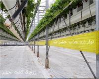 رول چسبنده حشرات رول حشره گیر نوار رول چسب دار