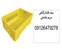 فروش سبد کشتارگاهی - سبد 1700 گرمی - سبد مرغ یک ردیفه