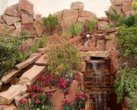 گیاهان مناسب به جای چمن