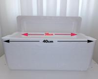 یخدان / کولباکس / یخدان فومی / Box16
