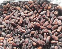 فروش عمده خرمای پیارم , خاصویی