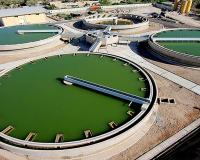 فروش شرکت  آب و کشاورزی زاگرس رتبه5آب وکشاورزی