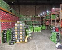 بلبرینگ و یاتاقان پریا