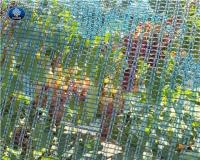 توری ضدپرنده