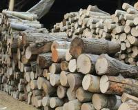 خرید و فروش هیزم خشک و کله چوب