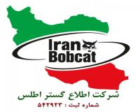 ایران بابکت  |  فروش لاستیک و تایر مینی لودر بابکت