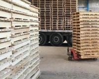 خرید و فروش چوب و تولید پالت