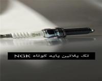 فروش و پخش شمع خودروهای سواری