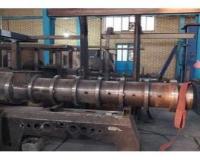 راه اندازی خط تولید خوراک آبزیان به روش اکسترودر