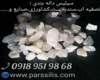 سیلیس ایران