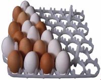 انوع شانه و سبد دستگاه جوجه کشی