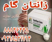 زانتان گام