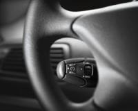 کروز کنترل فابریک 206