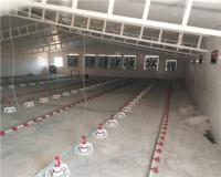 پوشش سوله مرغداری با ورق‌ های UPVC و روکش ASA