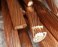 اجاره کولر و پنکه صنعتی