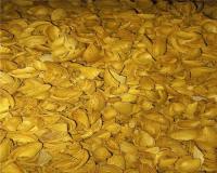 فروش پوست پسته و پوست بادام درختی خشک بدون رطوبت