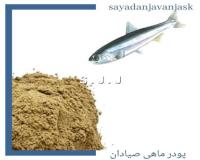 پودر ماهی جنوب ، پودر ماهی کارمزدی ، تولید پودر ماهی به صورت دستمزدی و کارمزدی