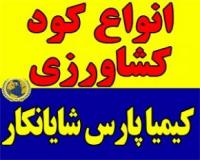 کودکشاورزی