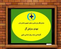 مهدی سبزعلی گل ، روانشناس ، درمان با تاکید بر خانواده