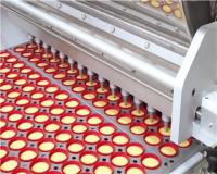 مشاوره و راه اندازی خط تولید کیک و کلوچه