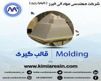 فروش سیلیکون قالب گیری،  فروش سیلیکون قالبگیری RTV2