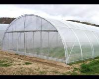 احداث انواع گلخانه ، مشاوره گلخانه ، فروش سازه گلخانه