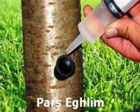 تزریق مستقیم کود کامل به تنه انواع درخت